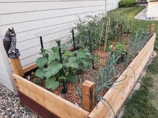 Take 5: Garden Two Weeks Ago